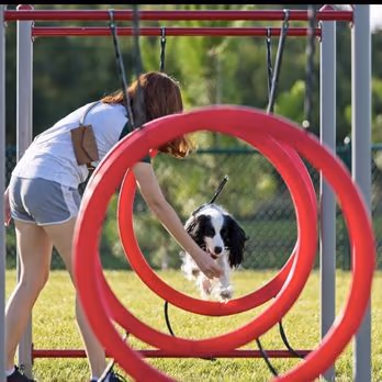 Bob Gardner Dog Park